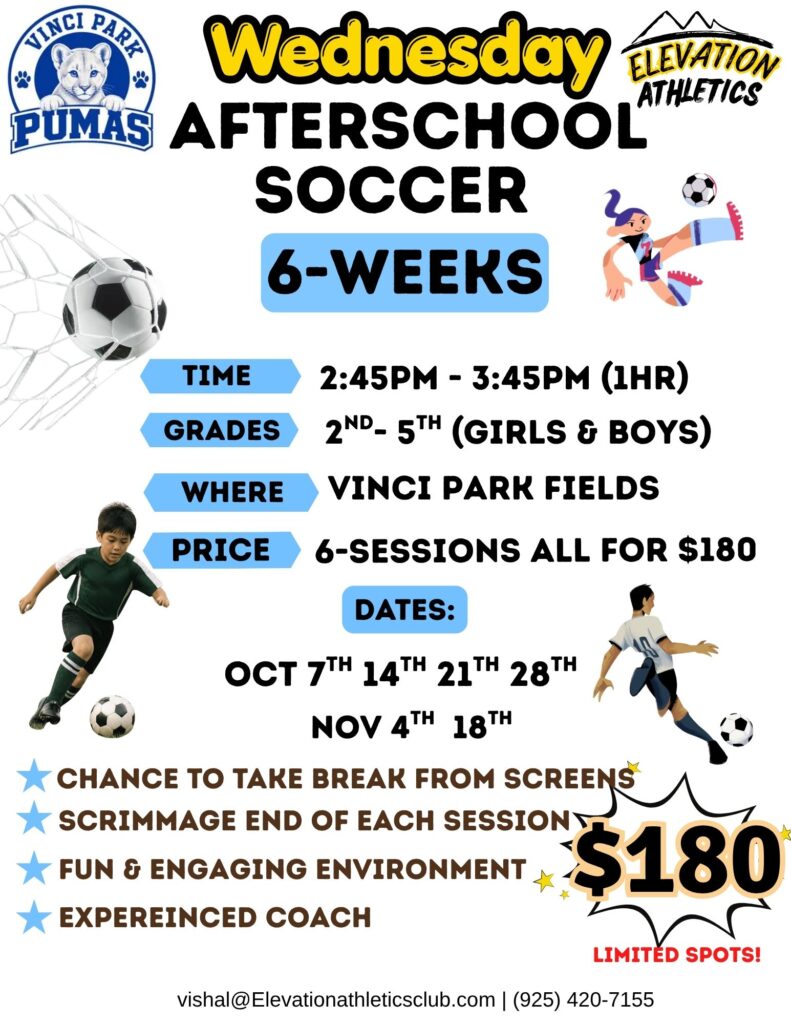 Vinci Park Soccer (Wednesday) flyer